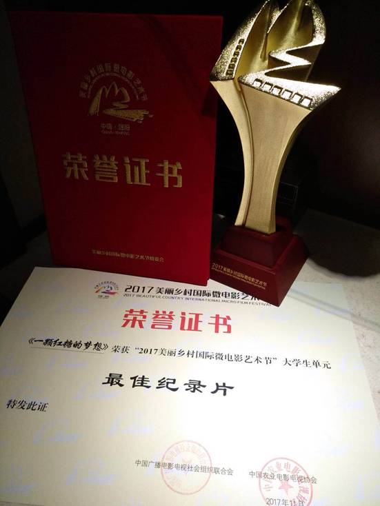 一颗红糖的梦想 荣誉证书